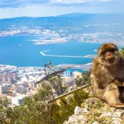 Visitas guiadas a Gibraltar desde Torre del Mar